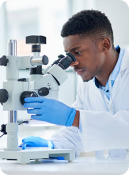 Emerging Clean Beauty Standards: Navigating the Shift Towards Transparency and Sustainability